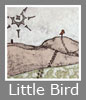 Luci Coles My little bird painting